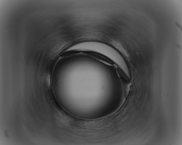 X0000092280021200710041419