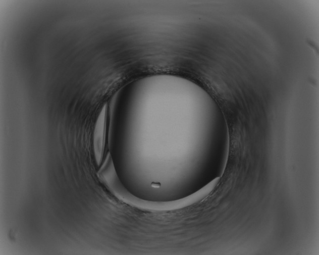 X0000092280025200710041419