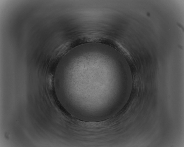 X0000092280026200710041419