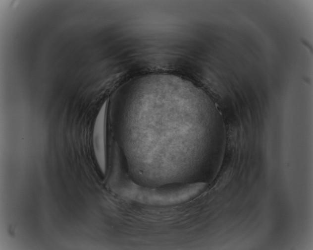 X0000092280029200710041419