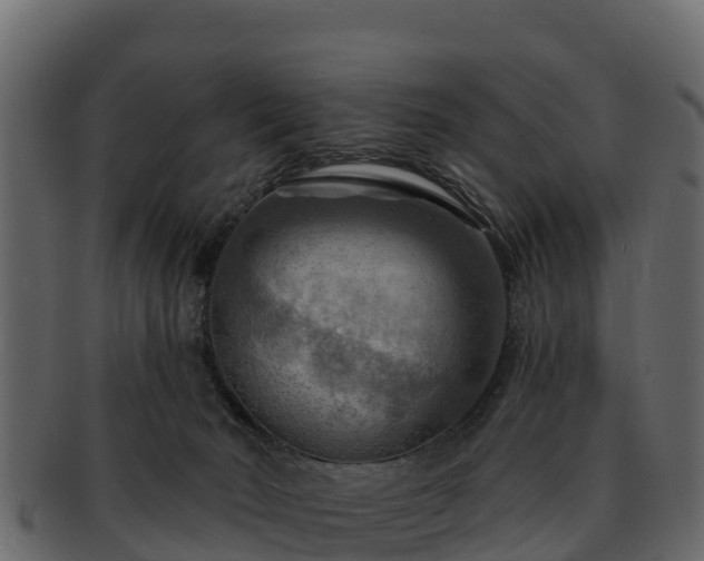 X0000092280030200710041419