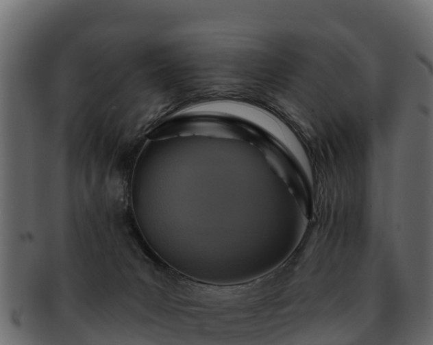 X0000092280031200710041419