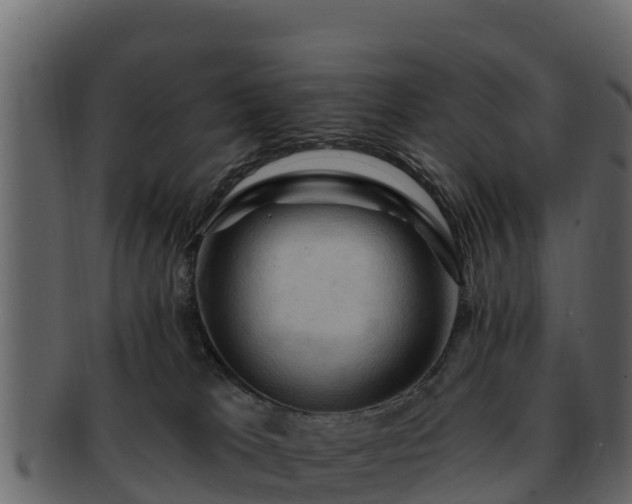 X0000092280037200710041419