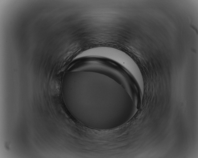 X0000092280039200710041419