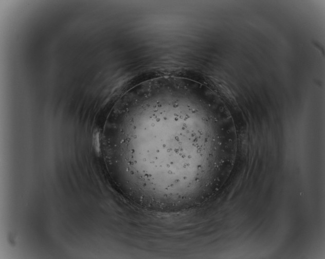 X0000092280042200710041419