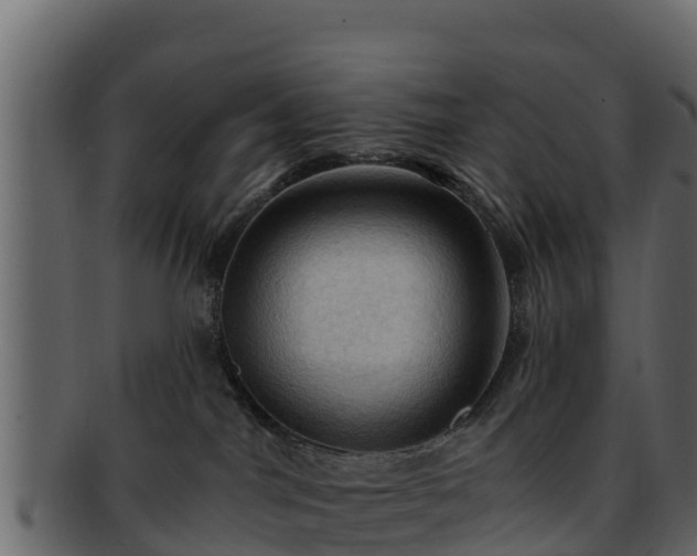 X0000092280044200710041419