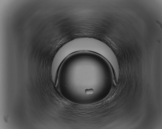 X0000092280045200710041419