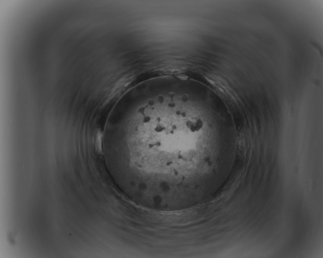 X0000092280046200710041419