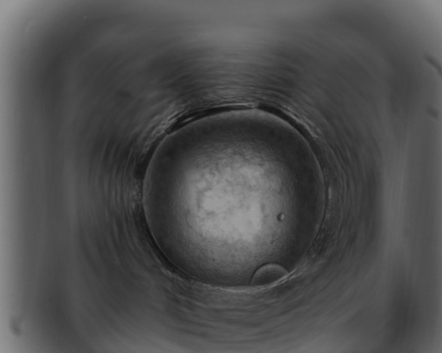 X0000092280048200710041419