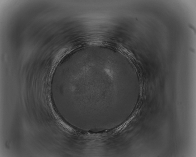 X0000092280049200710041418