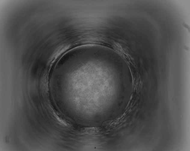 X0000092280050200710041418