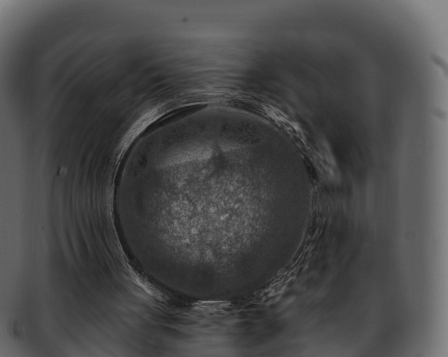 X0000092280051200710041418