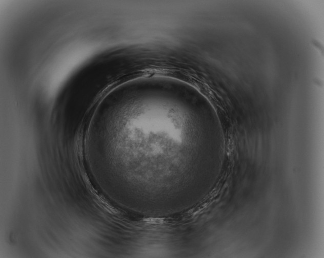 X0000092280052200710041418