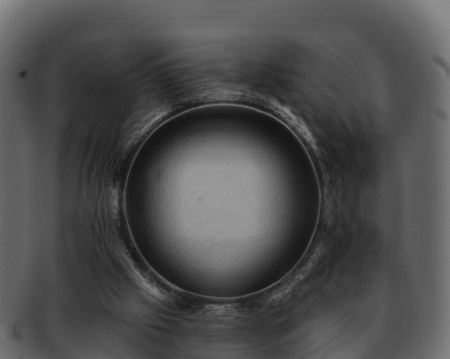 X0000092280057200710041418