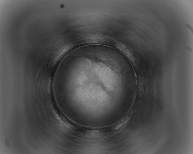 X0000092280058200710041418