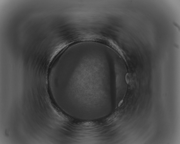 X0000092280059200710041418