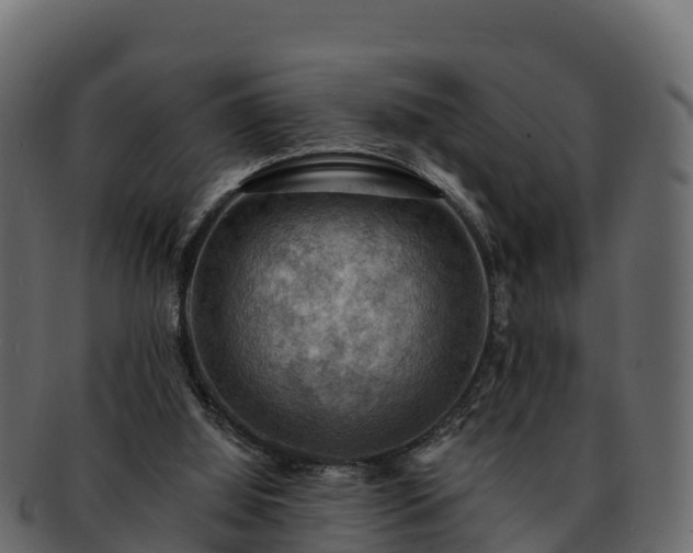 X0000092280060200710041418