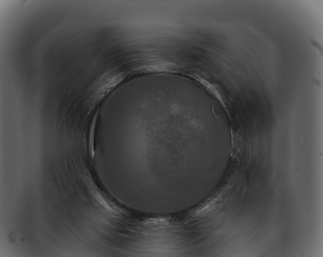 X0000092280061200710041418