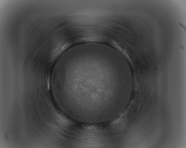 X0000092280062200710041418