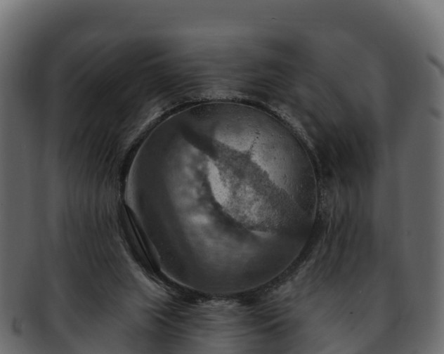 X0000092280063200710041418