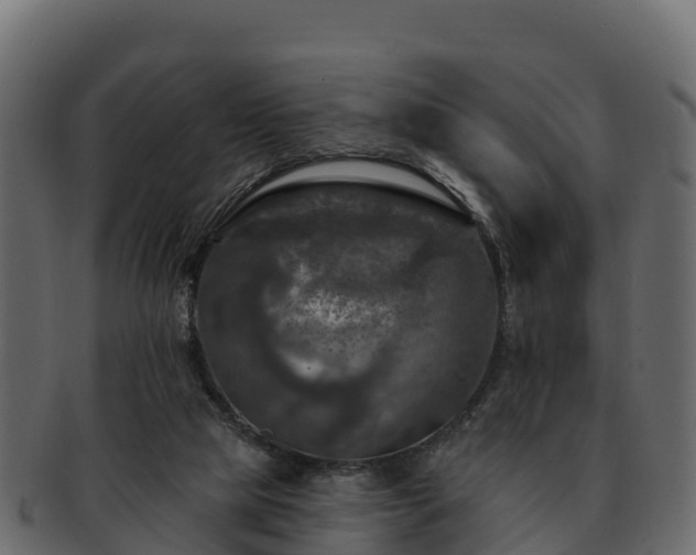 X0000092280065200710041418