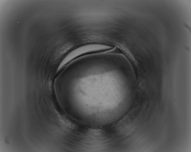 X0000092280066200710041418