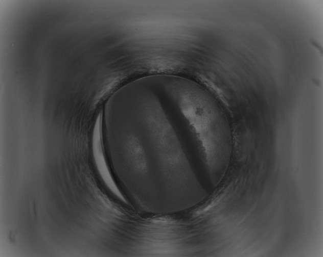 X0000092280067200710041418