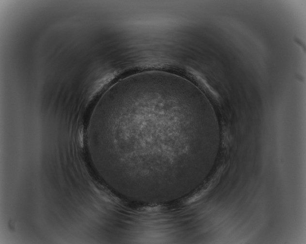 X0000092280068200710041418