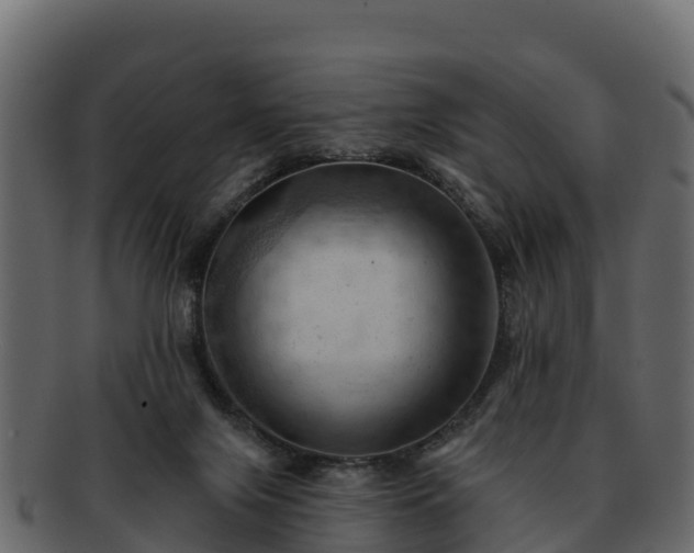 X0000092280071200710041418