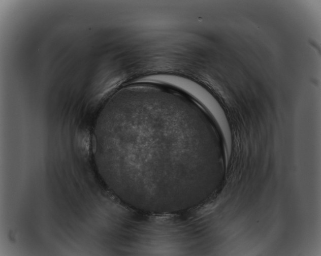 X0000092280072200710041418