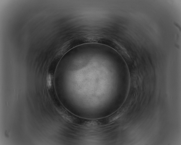 X0000092280075200710041418