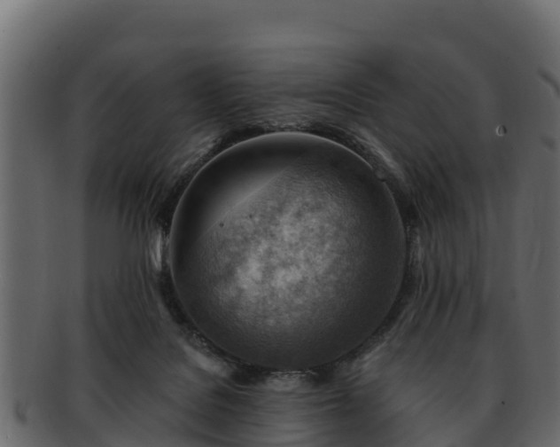 X0000092280076200710041418