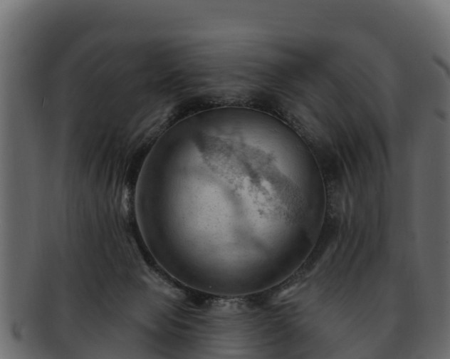 X0000092280077200710041418