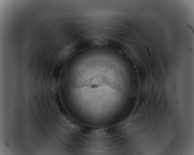 X0000092280078200710041418