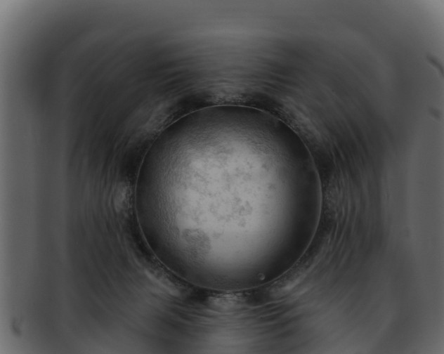 X0000092280079200710041418