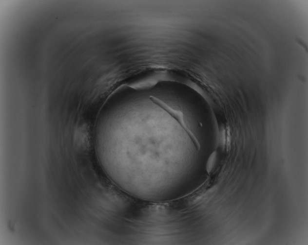 X0000092280080200710041418