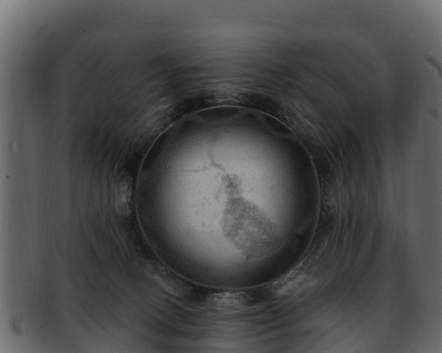 X0000092280082200710041418