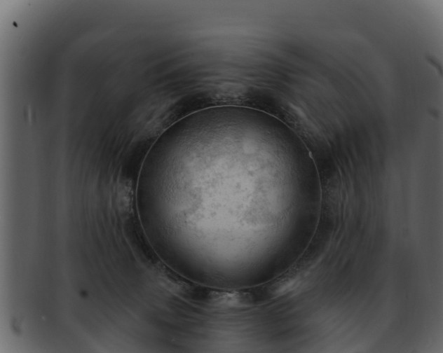 X0000092280083200710041418