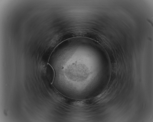 X0000092280086200710041418