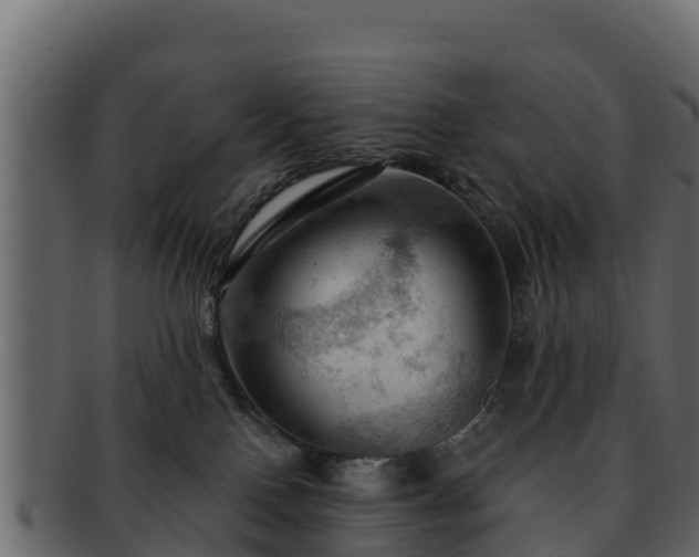 X0000092280090200710041418