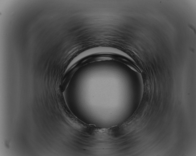 X0000092280092200710041418