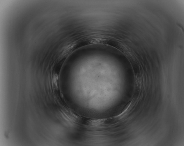 X0000092280094200710041418