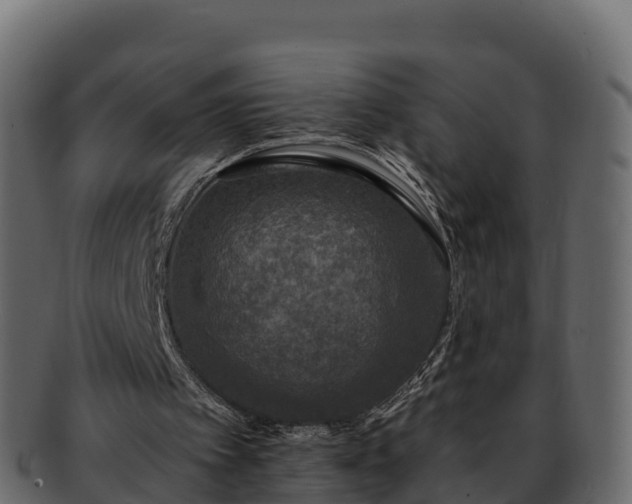 X0000092280097200710041418