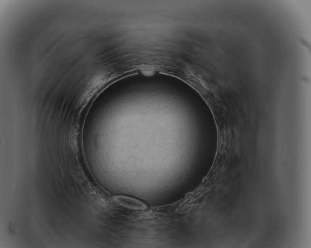 X0000092280098200710041418