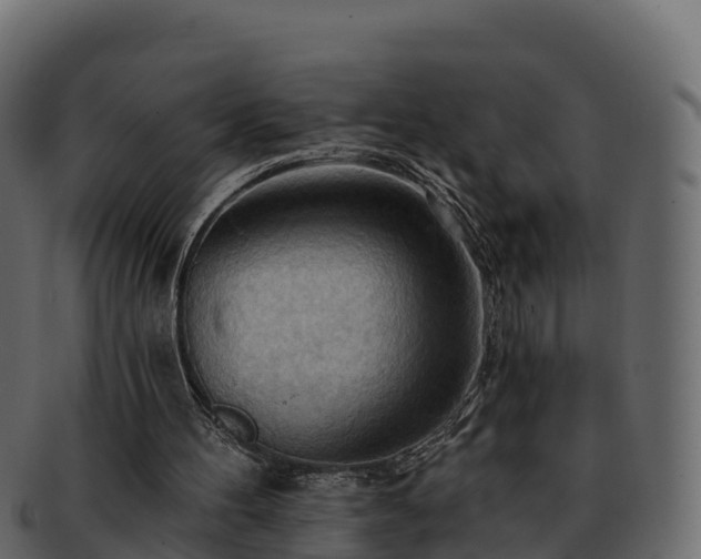 X0000092280100200710041418