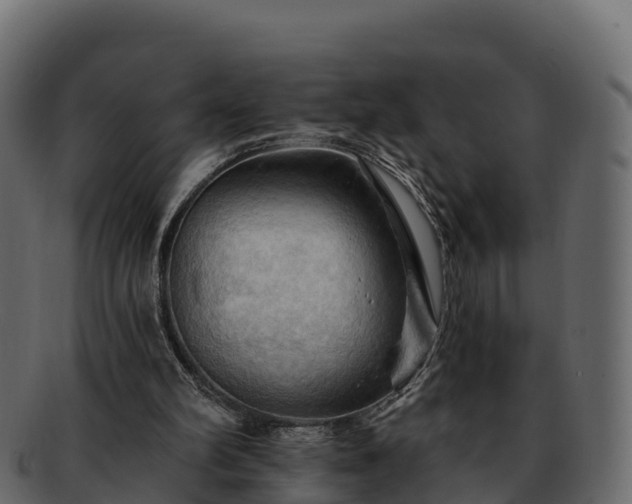 X0000092280102200710041418