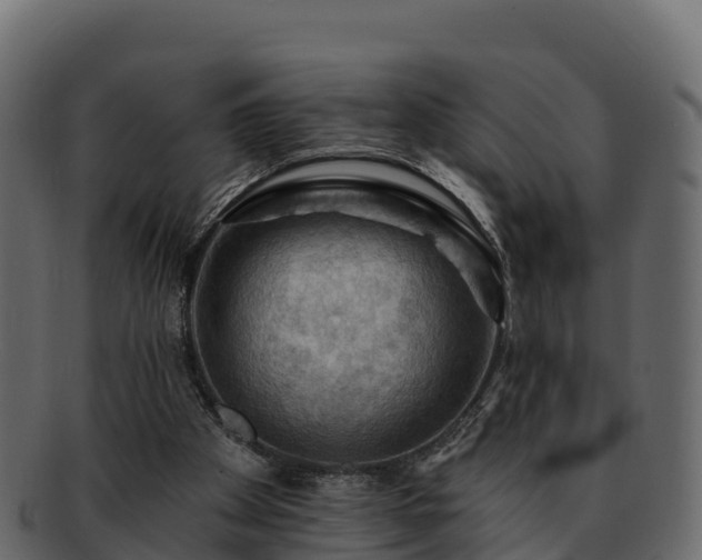 X0000092280105200710041418