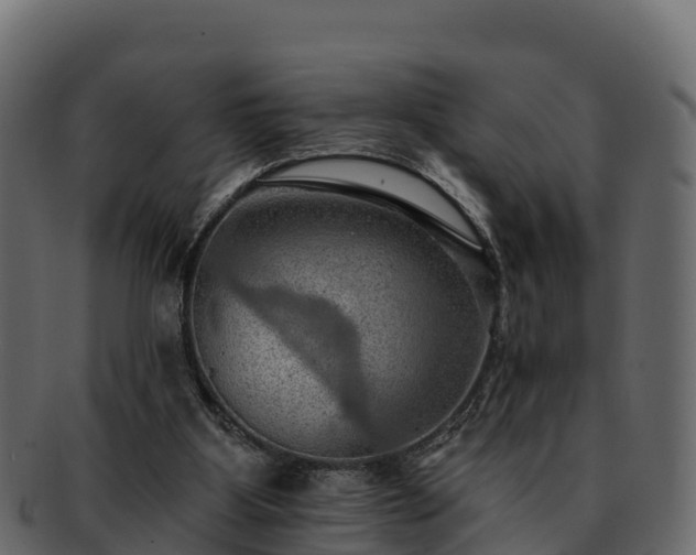 X0000092280107200710041418