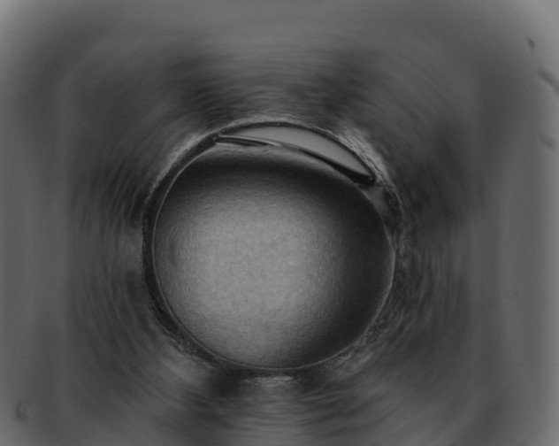 X0000092280108200710041418