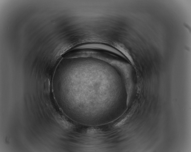 X0000092280109200710041418